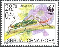 Colnect-530-202-Predatory-Bush-Cricket-Saga-pedo.jpg