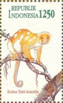 Colnect-1142-327-Common-Spotted-Cuscus-Spilocuscus-maculatus.jpg