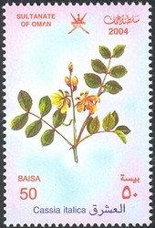 Colnect-1541-184-Cassia-italica.jpg