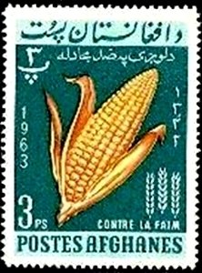 Colnect-2175-943-Corn-Zea-mays.jpg