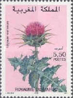 Colnect-2716-575-Cynara-humilis.jpg