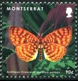 Colnect-2859-676-Antillean-Crescent-Antillea-pelops.jpg