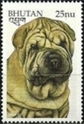 Colnect-3377-300-Shar-Pei-Canis-lupus-familiaris.jpg