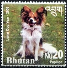 Colnect-3416-488-Papillon-Canis-lupus-familiaris.jpg