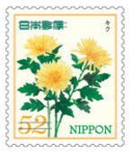 Colnect-3541-837-Chrysanthemum.jpg