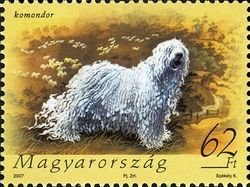 Colnect-496-114-Komondor-Canis-lupus-familiaris.jpg