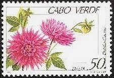 Colnect-1418-612-Dahlia-flower.jpg