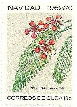 Colnect-1726-379-Delonix-regia.jpg