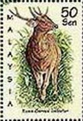 Colnect-2663-939-Sambar-Deer-Cervus-unicolor.jpg