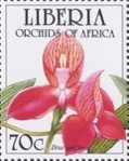 Colnect-4244-699-Disa-uniflora.jpg