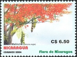 Colnect-934-635-Delonix-regia.jpg