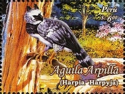 Colnect-1584-968-Harpy-Eagle-Harpia-harpyja.jpg