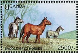 Colnect-1714-659-Horses-Equus-ferus-caballus.jpg