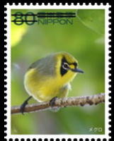 Colnect-1993-169-Bonin-White-eye-Apalopteron-familiare.jpg