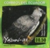 Colnect-3553-391-Harpy-Eagle-Harpia-harpyja.jpg