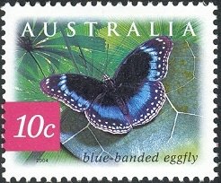 Colnect-3690-202-Blue-banded-Eggfly-Hypolimnas-alimena.jpg