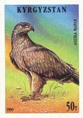 Colnect-990-629-Tawny-eagle-Aquila-rapax.jpg