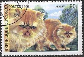 Colnect-1119-295-Persian-Felis-silvestris-catus.jpg