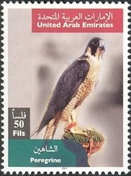 Colnect-1390-098-Peregrine-Falcon-Falco-peregrinus.jpg