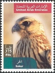 Colnect-1390-101-Saker-Falcon-Falco-cherrug.jpg