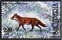 Colnect-1469-174-Red-Fox-Vulpes-vulpes.jpg