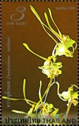 Colnect-1671-069-Flora-Orchids.jpg