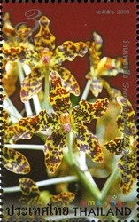 Colnect-1671-071-Flora-Orchids.jpg