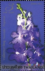 Colnect-1671-072-Flora-Orchids.jpg