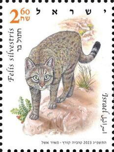 Colnect-19581-727-Wildcat-Felis-sylvestris-lybica.jpg