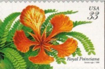 Colnect-201-261-Tropical-FlowersRoyal-Poinciana.jpg