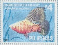 Colnect-2959-121-Orange-spotted-Hi-fin-Platy-Xiphophorus-maculatus.jpg