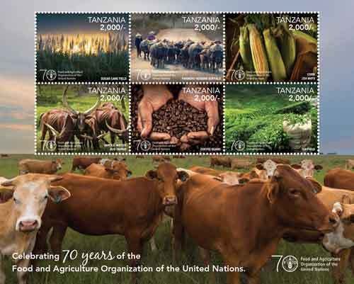 Colnect-3056-817-UN-70th-anniversary-food-and-agriculture-organization.jpg