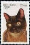 Colnect-3384-715-Burmese-Felis-silvestris-catus.jpg