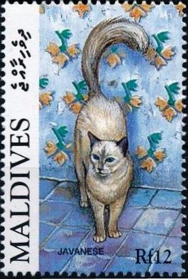 Colnect-4177-114-Javanese-Felis-silvestris-catus.jpg