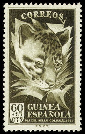 Colnect-1535-461-Small-spotted-Genet-Genetta-genetta-felina.jpg