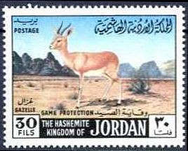 Colnect-1646-635-Mountain-Gazelle-Gazella-gazella.jpg