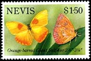 Colnect-2159-907-Orange-barred-Giant-Sulphur-Phoebis-philea.jpg