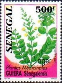 Colnect-2700-471-Nger-Guiera-senegalensis.jpg