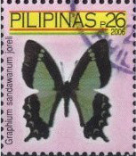 Colnect-2882-181-Apo-Swallowtail-Graphium-sandawanum-ssp-joreli.jpg