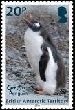 Colnect-5350-468-Gentoo-Penguin.jpg