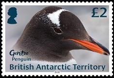 Colnect-5350-486-Gentoo-Penguin.jpg