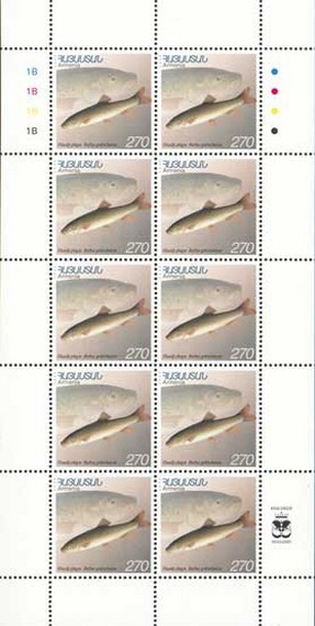 Colnect-722-138-Mini-Sheet-with-10x-Gokcha-Barbel-Barbus-goktschaicus.jpg