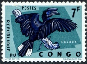 Colnect-1093-576-Black-casqued-Hornbill-Ceratogymna-atrata.jpg