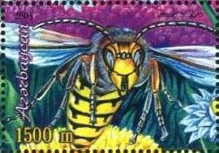 Colnect-1097-777-Giant-Hornet-Vespa-crabro.jpg