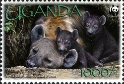 Colnect-1716-569-Spotted-Hyena-Crocuta-crocuta.jpg