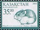 Colnect-196-666-Roborowski%E2%80%99s-Hamster-Phodopus-roborovskii.jpg