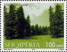 Colnect-3014-452-Fir-of-Hotova-National-Park.jpg