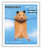 Colnect-3816-901-Kinka-Hamster-Cricetus-sp.jpg