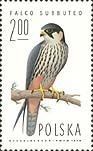 Colnect-402-105-Hobby-falcon.jpg