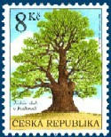 Colnect-349-059-%C5%BDi%C5%BEka--s-Oak-Tree-in-Podhrad-iacute--near-Lichnice.jpg